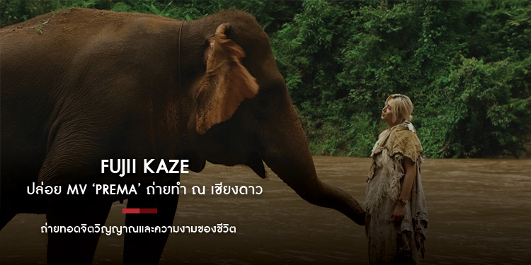 Fujii Kaze ศิลปินหนุ่มสุดฮอตชาวญี่ปุ่น คัมแบคพร้อมเพลงไตเติล ‘Prema’ กับ MV ที่ถ่ายทำ ณ บ้านผาลาย เชียงใหม่ ไทยแลนด์